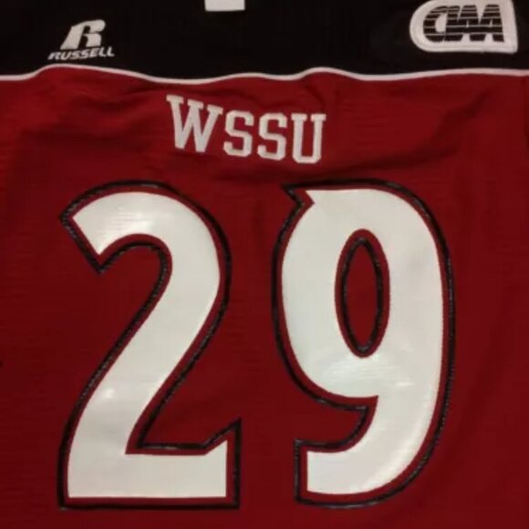 WSSU Rams Authentic Game Worn Football Jersey #29 - Picture 2 of 5